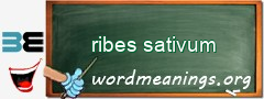 WordMeaning blackboard for ribes sativum